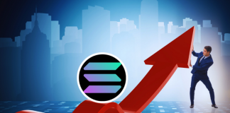 Solana Regains $30 Assistance; Here Is What To Anticipate Based Upon This Sign