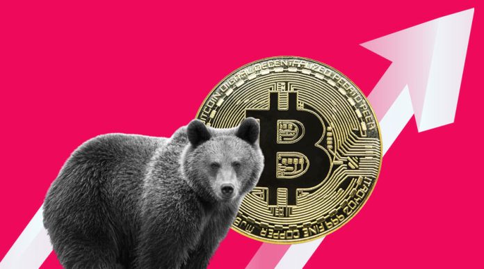 Bitcoin Rate Slows At $20,500, Profits Season Plays Versus Crypto