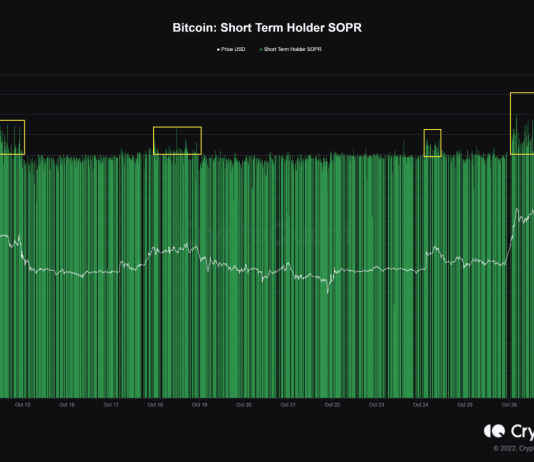 Bitcoin Decreases Somewhat As Short-Term Holders Take Earnings