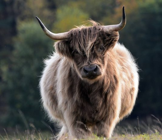 Polygon (MATIC) Keeps Shining With Over 12% Gain In Worth