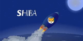 Shiba Inu Gains 15% As Cost Breaks Out Of Variety; Will Cost Perform Like DOGE?