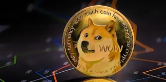 Why The DOGE Cost Rally Might Predict An Altcoin Season
