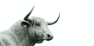 Why This Bitcoin Sign Points To Bullish Double Bottom