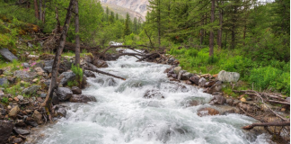 Circulation Diverted By Bearish Present In The Middle Of Relative Lack of exercise– Here’s Why