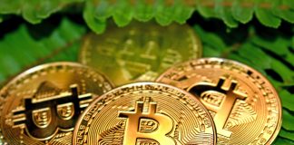 Bitcoin Cost Has A Hard Time Under $21,000, Will The Bulls Power Through Again?