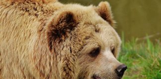 Reports Program Bearishness Didn’t Impact Crypto Principles