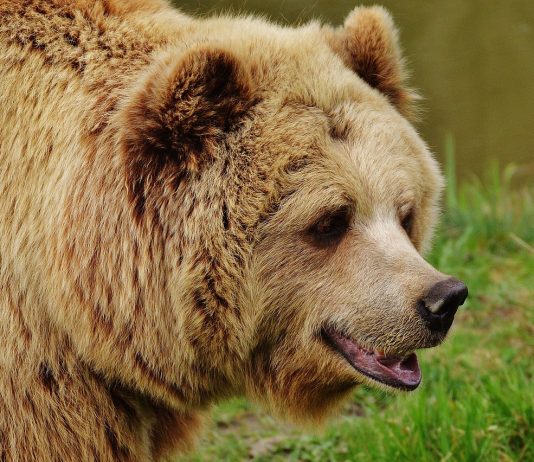 Reports Program Bearishness Didn’t Impact Crypto Principles