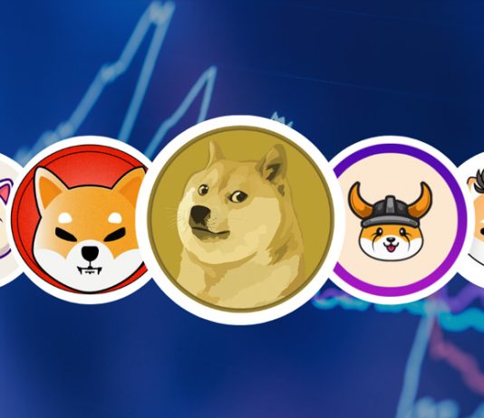 Why The Dogecoin And Meme Coin Rally May Not Be Over Right now