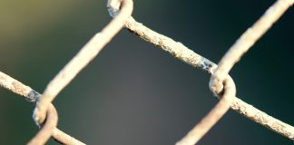 Chainlink Rate Skyrockets In The Middle Of High Whale Activity