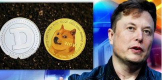 Is Elon Musk The Largest Holder Of Dogecoin (DOGE) With 28.52% Of Supply?