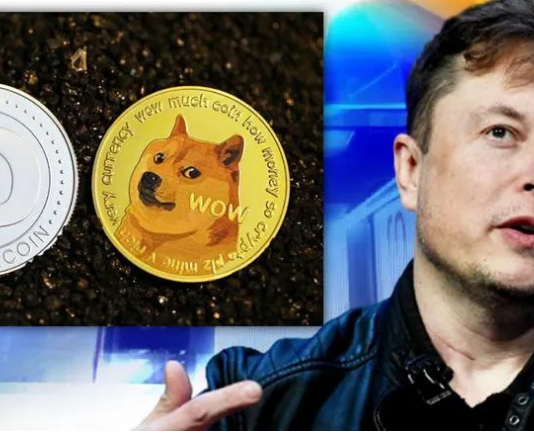 Is Elon Musk The Largest Holder Of Dogecoin (DOGE) With 28.52% Of Supply?