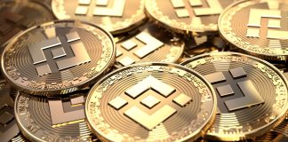 Binance Coin (BNB) Has A Hard Time To Break Above $335; Here Is What To Anticipate