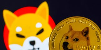 Memecoin Cult Continues: Dogecoin And Shiba Inu Ahead