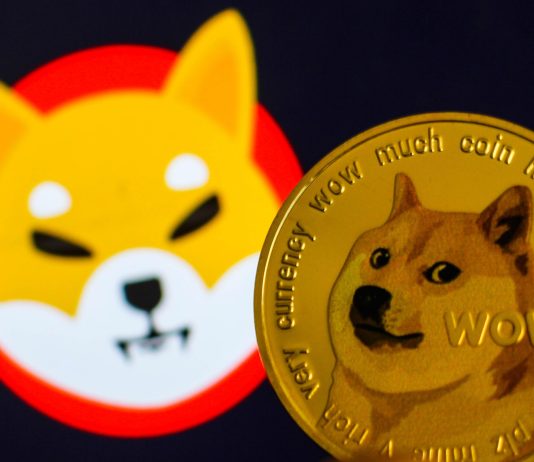Memecoin Cult Continues: Dogecoin And Shiba Inu Ahead