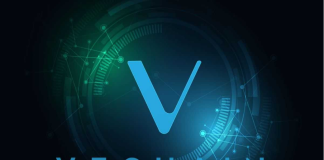 VeChain Notches 10% Weekly Gains– Time For Financiers To Bank On veterinarian?