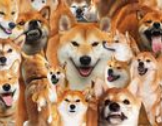 Shiba Inu Spurts Over 12% In 24 Hours– Simply For The Day Or Will SHIB Skyrocket Today?