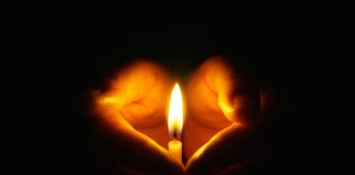 Litecoin Healing To End Continuous Crypto Darkness? LTCUSD November 2, 2022