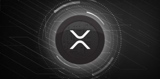 Ripple (XRP) Rests On Secret Assistance; Here Is What Might Take place If $0.45 Stops Working