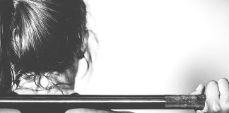 Shiba Inu Continues To Hold Gains While Market Plummets