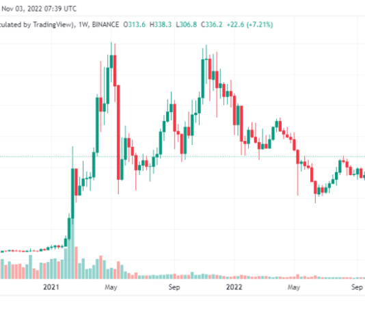 Binance’s BNB Coin Holds Gains When A Lot Of Coins Shatter