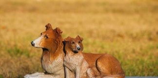 Dogecoin Crosses A 200- Day Moving Typical Considering That June 2021