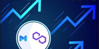 Polygon (MATIC) Cost Rallies As Whales Supply The Fuel