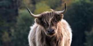 Litecoin (LTC) Leads Gains With Over 24% Boost In The Week