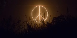 The War Is Over!: Binance Announces FTX Buyout And The Marketplace Recuperates