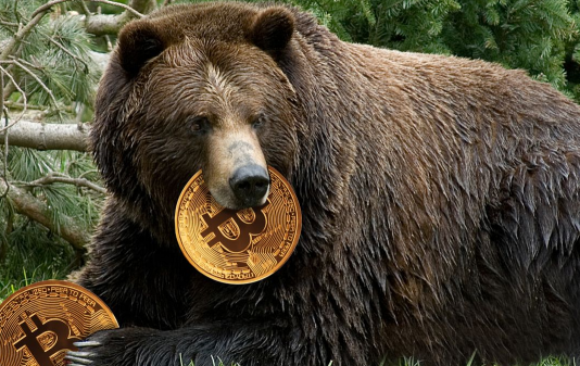 Bitcoin Reveals Strength As Rate Holds Above $16,500; Is This A Bear Trap?
