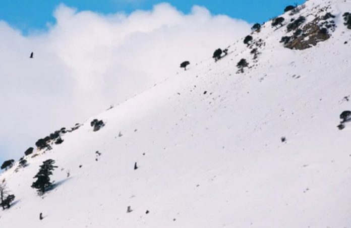 Avalanche Aims To Profit From GameFi Sector– Will This Offer AVAX Some Increase?