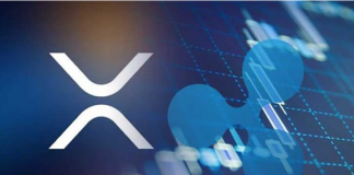 XRP Cost Drops While 2 Bullish Occasions Are Beginning
