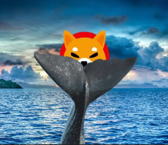 Shiba Inu (SHIB) Ranks No. 1 In Leading 5,000 ETH Whales’ Crypto Holdings