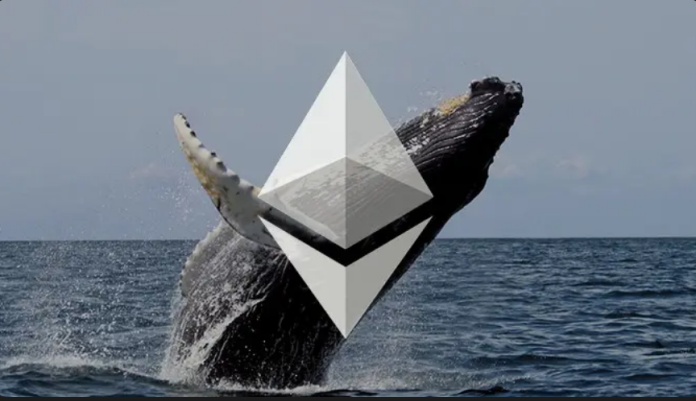 Why Ethereum Top Whales Are Collecting ETH In ‘Irregular’ Method