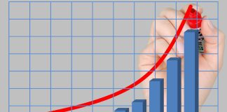 Chiliz (CHZ) Leads Market Gains With Over 8%