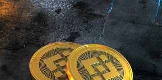 Binance Coin Restores Its Bullish Strength Above $290; Will Bulls Defend This Location?