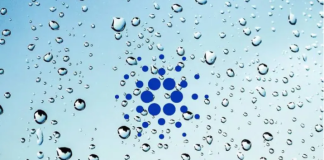 Cardano Signs Up Turning Point With More Than 7 Million Native Tokens