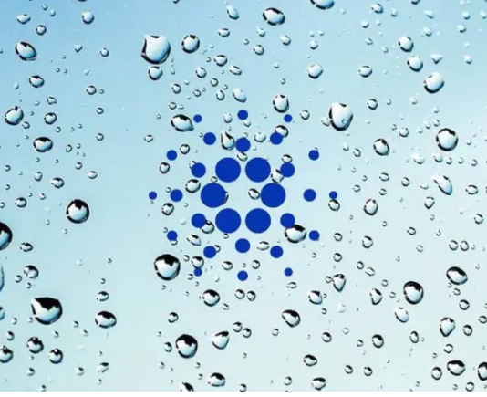 Cardano Signs Up Turning Point With More Than 7 Million Native Tokens