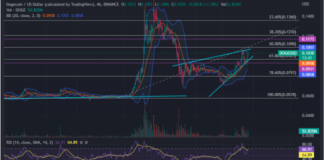 Dogecoin Increases: Over 60% Of Holders Continue To Revenue Regardless Of FTX Problem