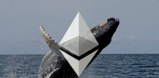 Ethereum Whales Front Run A Major Cost Move, On-Chain Data Recommends