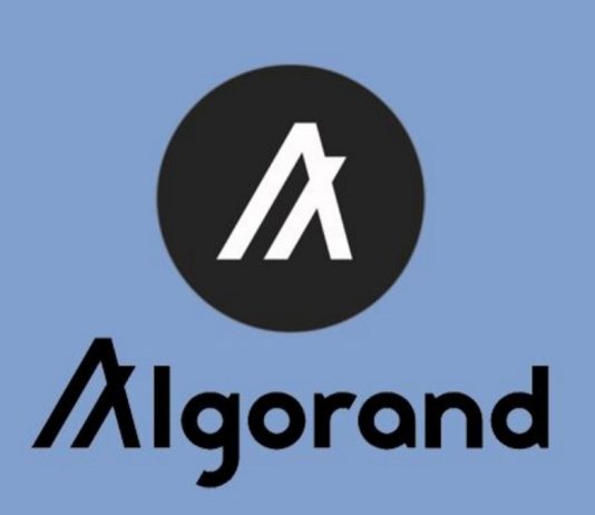 Purchasers Guideline Over Algorand’s (ALGO) Cost Action, Enough To Break Above $0.26?