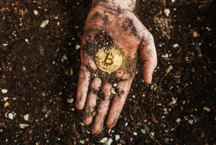 Bitcoin Basic Professional Breaks Down Why The Bottom Remains In