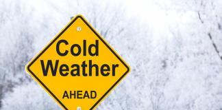 Irregular Metrics Show More Battle For SUSHI– Colder Winter Season Ahead?