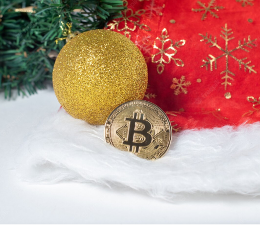 Bitcoin Rate Crystal Ball– What Occurs To BTC After Christmas 2022?