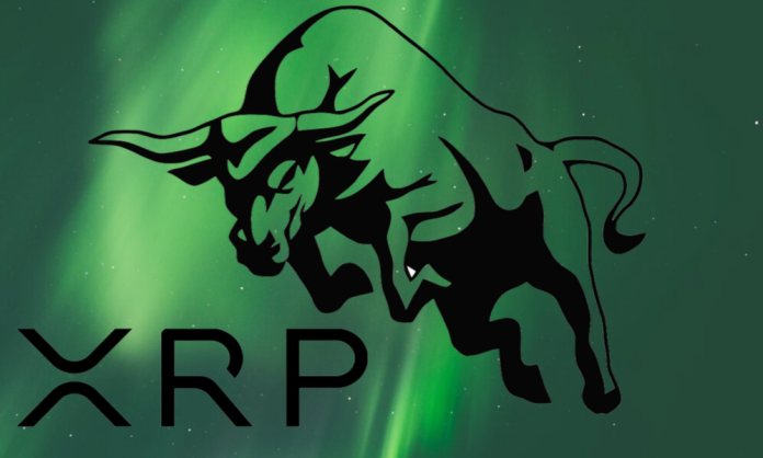 Whale Build-up Paints Bullish Photo For XRP