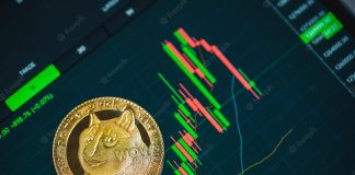 Double-Digit Losses Brings Doge Below Important Level, More Discomfort To Follow?