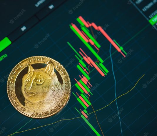 Double-Digit Losses Brings Doge Below Important Level, More Discomfort To Follow?