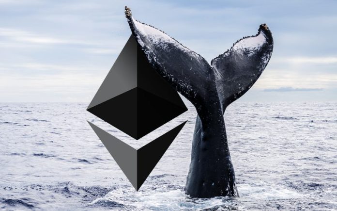 Ethereum Rate Balks As Inactive Whales Reactivate
