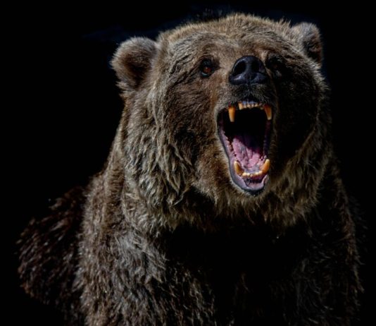 Bitcoin Bearish Signal: ‘Mid-Term’ Holders Program Indications Of Disposing
