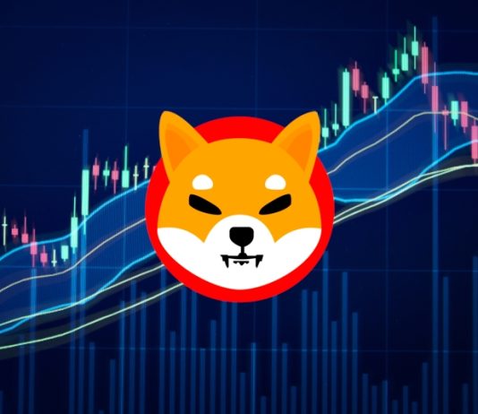Shiba Inu Invites 10,000 New Holders, Can SHIB Maintain The Momentum?