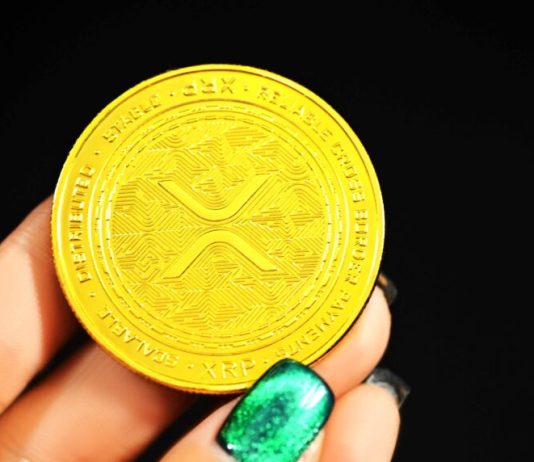 XRP Build-up: Secret Sharks And Whales Group Strikes All-Time High Holdings